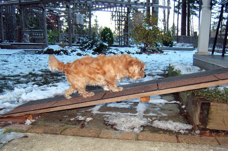 New Ramp in the Snow